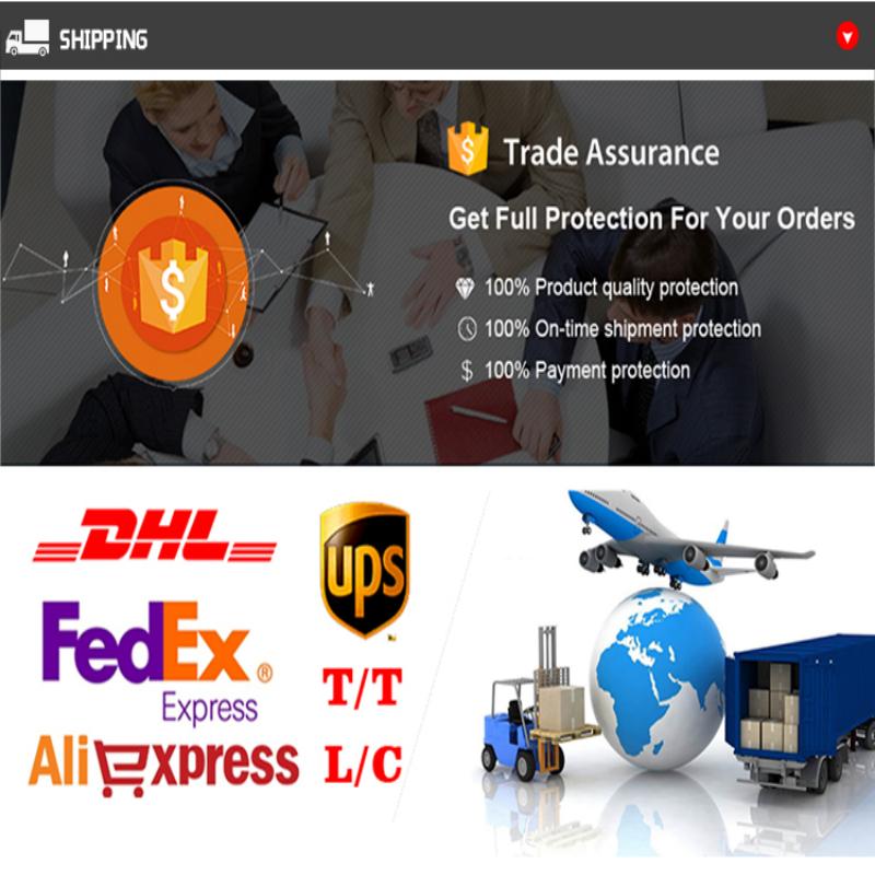 Professional Transportation